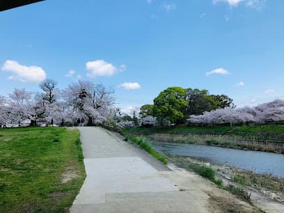 石手川緑地