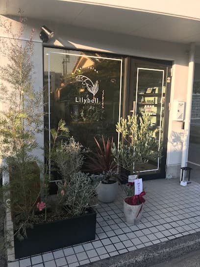 Eyelash&Nailsalon Lilybell